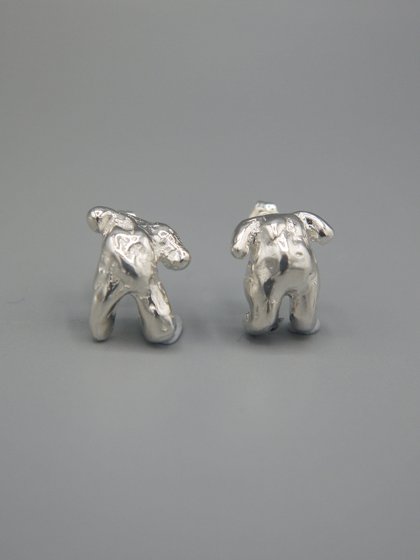 Hanging On Earrings