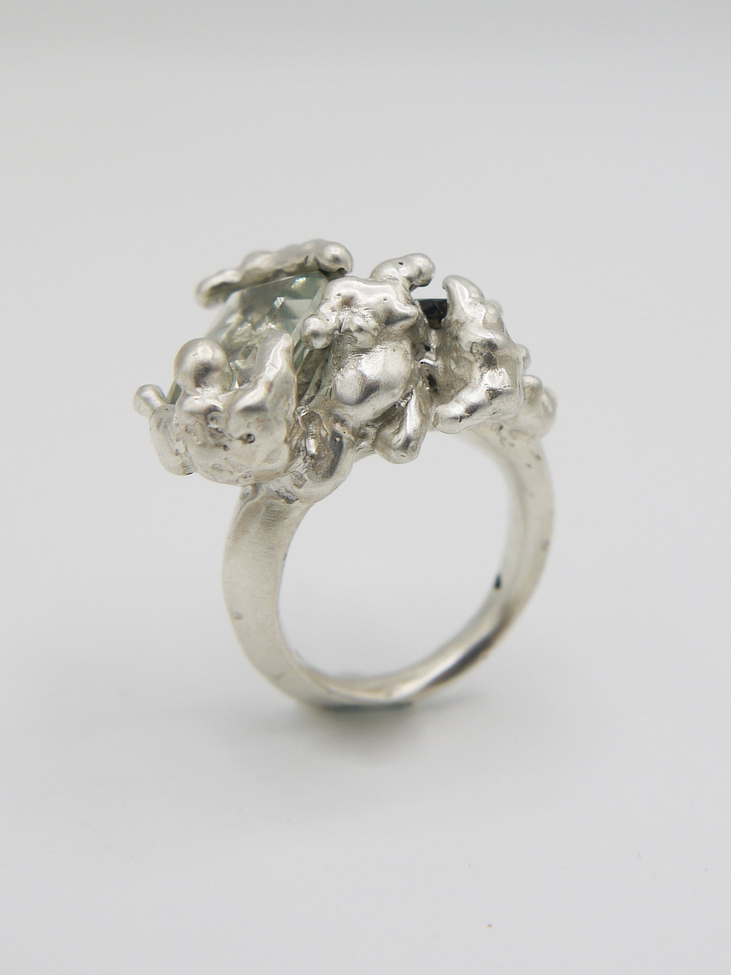 Fallacy Ring