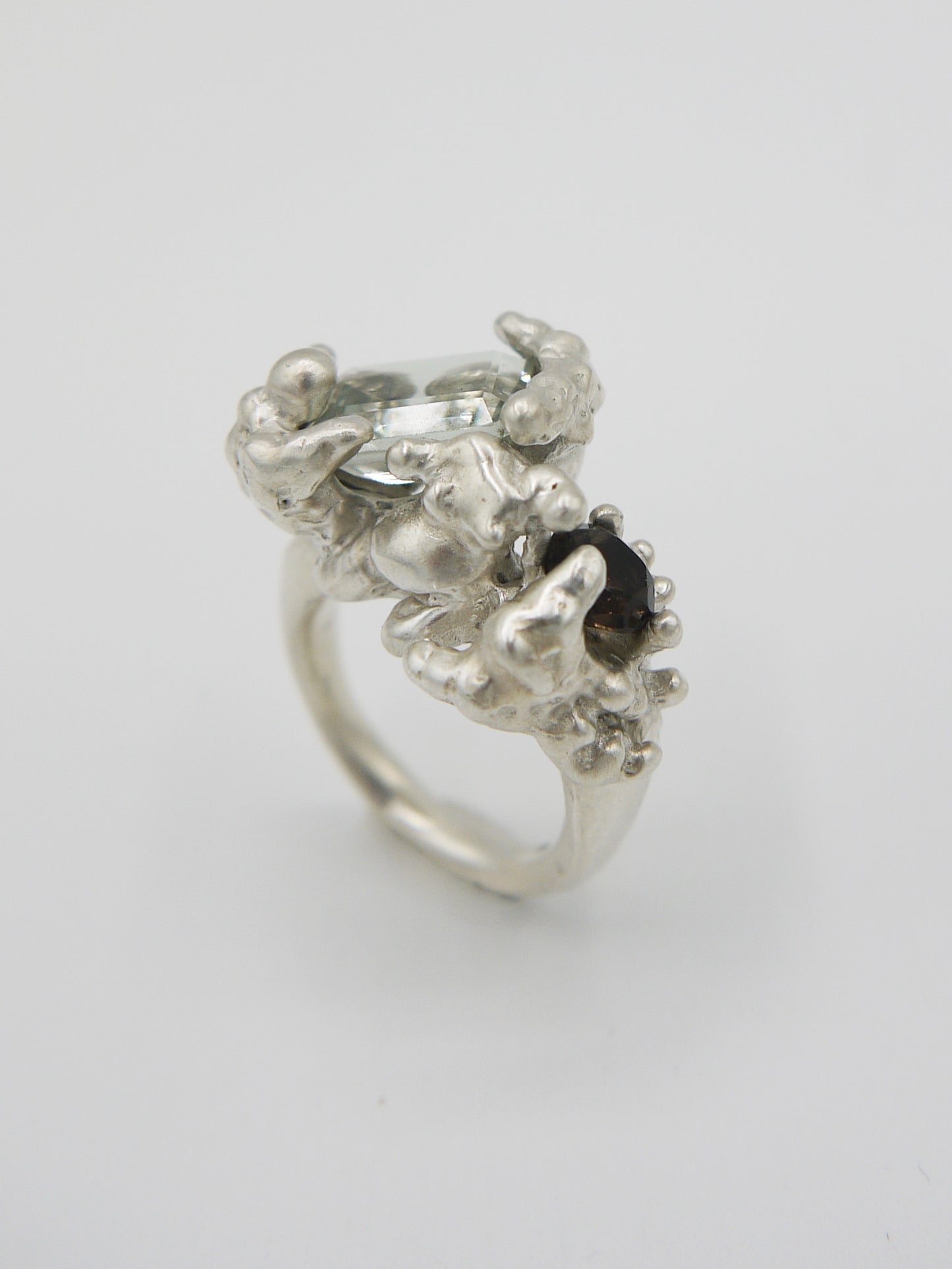 Fallacy Ring