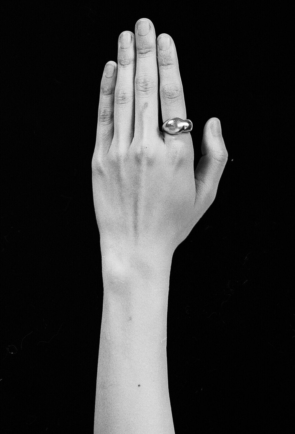 Ring No.23