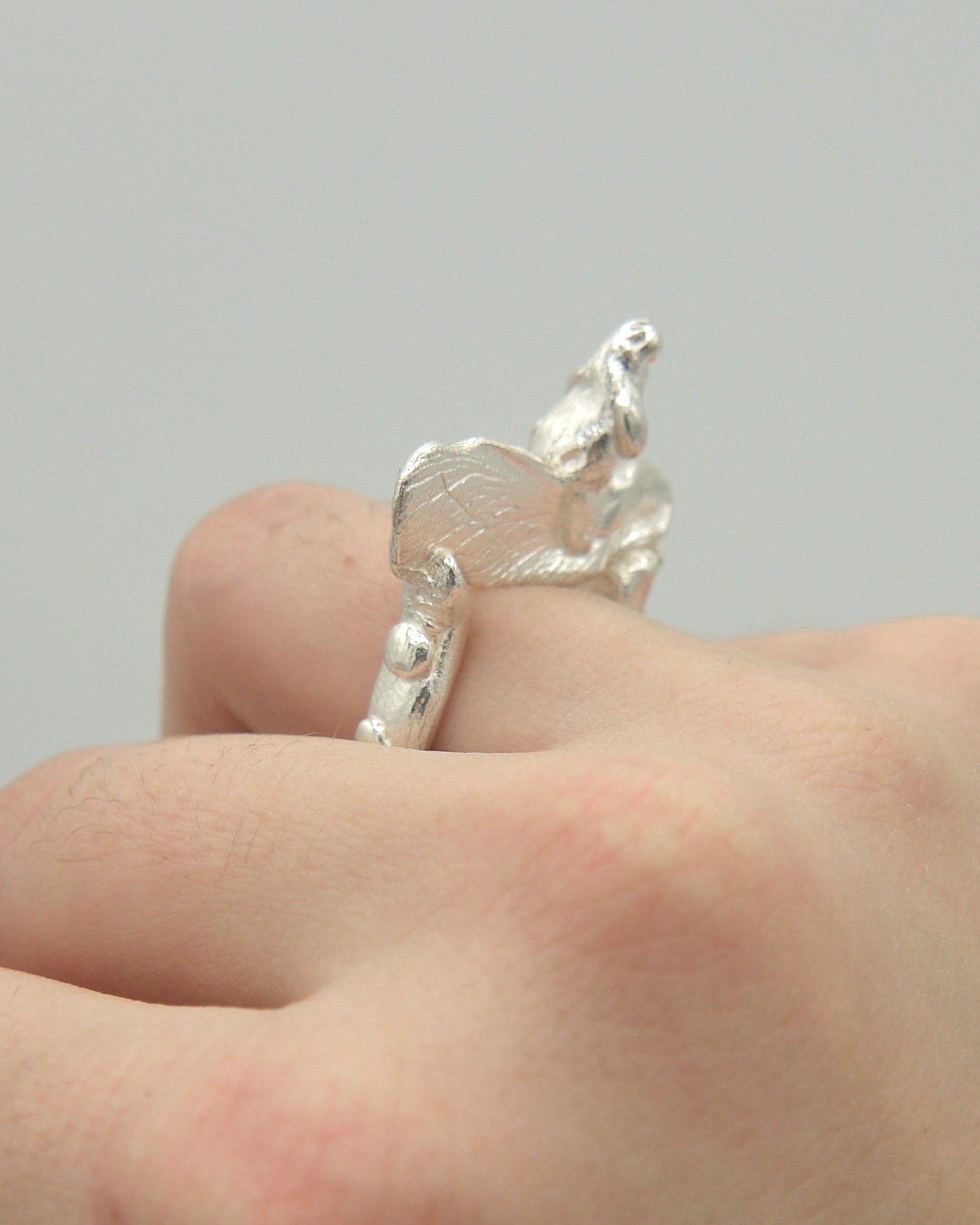 Rider Ring