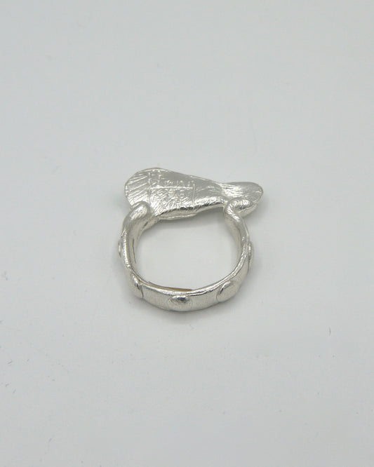 Blueprint Ring