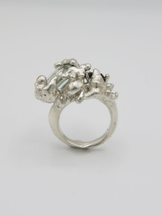 Fallacy Ring