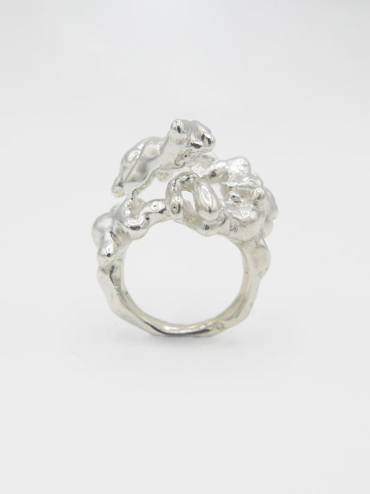 Spiralling Ring