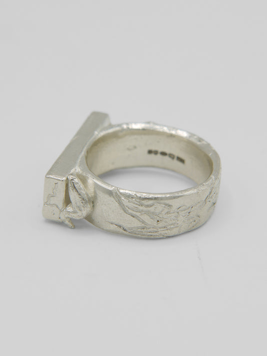 Bindeed Ring