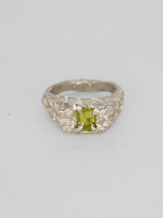 Gus Ring