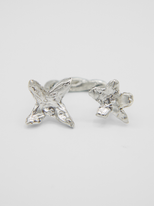 009 ring