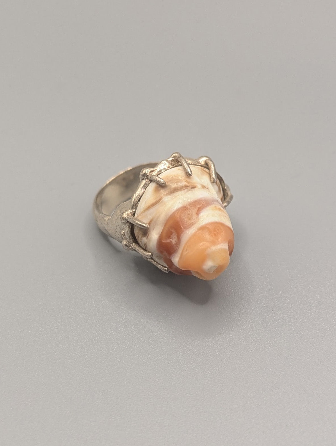 Shell Ring