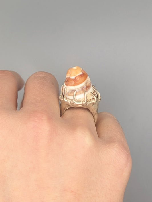 Shell Ring