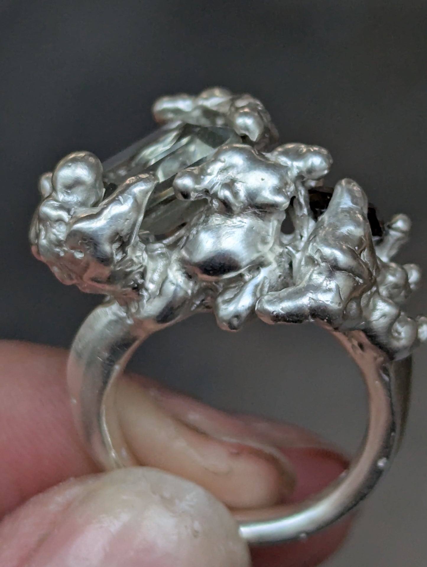 Fallacy Ring