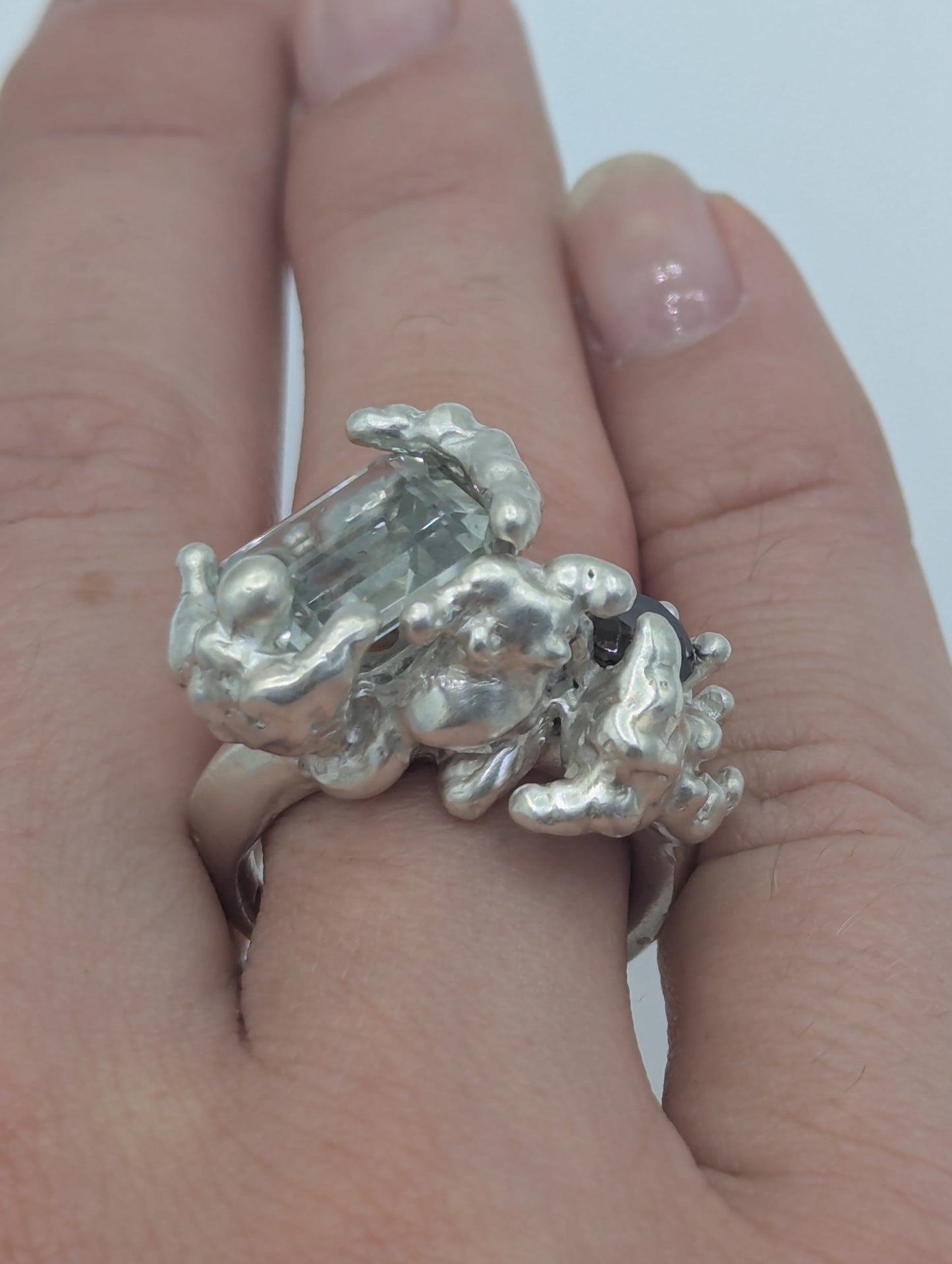 Fallacy Ring